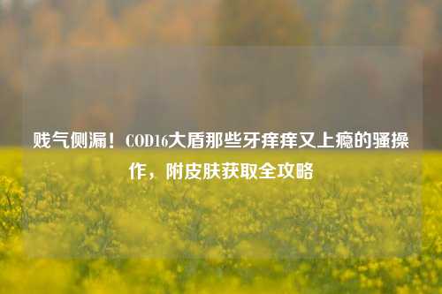 贱气侧漏!COD16大盾那些牙痒痒又上瘾的骚操作,附皮肤获取全攻略
