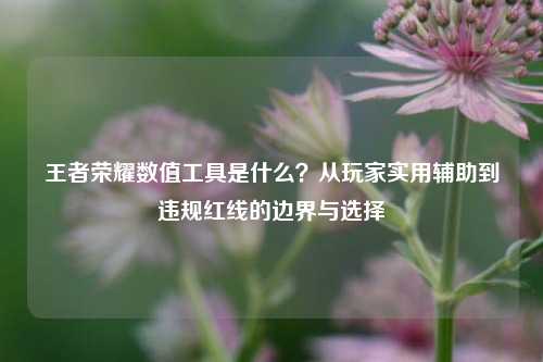 王者荣耀数值工具是什么？从玩家实用辅助到违规红线的边界与选择