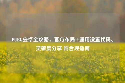 PUBG安卓全攻略,官方布局+通用设置代码、灵敏度分享 附合规指南