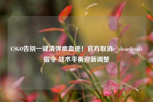 CSGO告别一键清弹痕血迹！官方取消r_cleardecals指令 战术平衡迎新调整