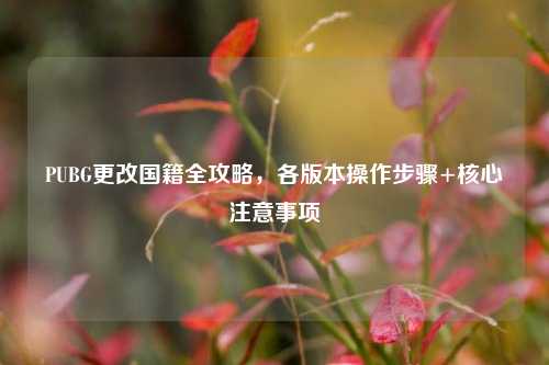 PUBG更改国籍全攻略，各版本操作步骤+核心注意事项