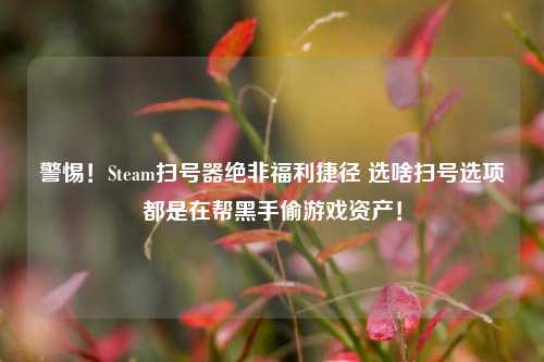 警惕！Steam扫号器绝非福利捷径 选啥扫号选项都是在帮黑手偷游戏资产！