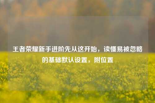 王者荣耀新手进阶先从这开始,读懂易被忽略的基础默认设置,附位置