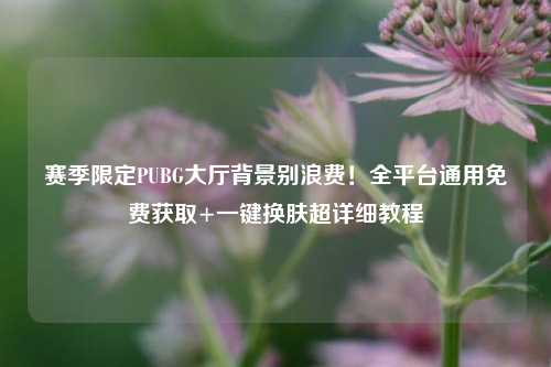 赛季限定PUBG大厅背景别浪费！全平台通用免费获取+一键换肤超详细教程