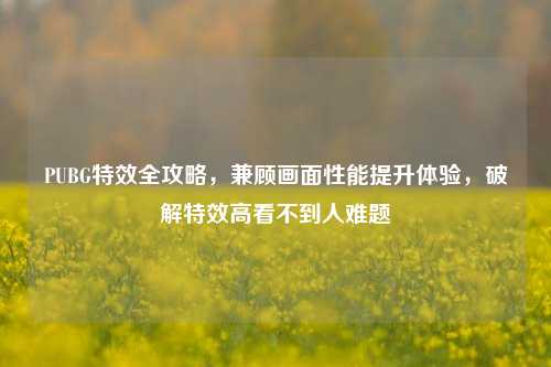 PUBG特效全攻略，兼顾画面性能提升体验，破解特效高看不到人难题