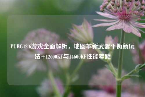 PUBG12.6游戏全面解析,地图革新武器平衡新玩法+12600KF与14600KF性能差距