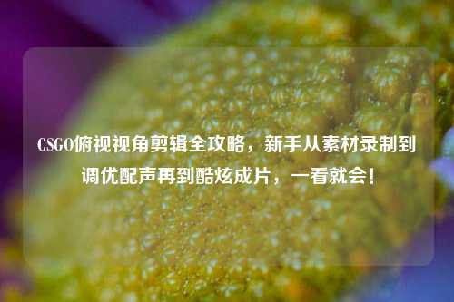 CSGO俯视视角剪辑全攻略，新手从素材录制到调优配声再到酷炫成片，一看就会！