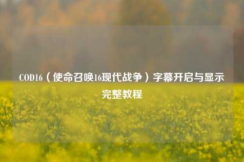COD16(使命召唤16现代战争)字幕开启与显示完整教程
