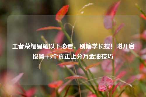 王者荣耀星耀以下必看，别瞎学长按！附开启设置+5个真正上分万金油技巧