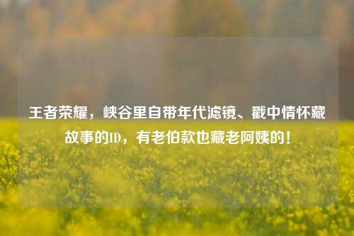 王者荣耀，峡谷里自带年代滤镜、戳中情怀藏故事的ID，有老伯款也藏老阿姨的！