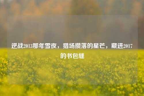 逆战2013那年雪夜,猎场攒落的星芒,藏进2017的书包缝