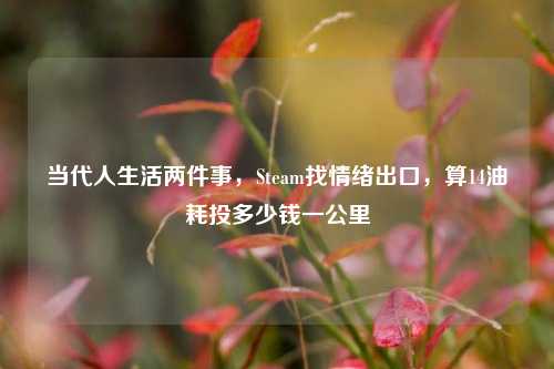 当代人生活两件事,Steam找情绪出口,算14油耗投多少钱一公里