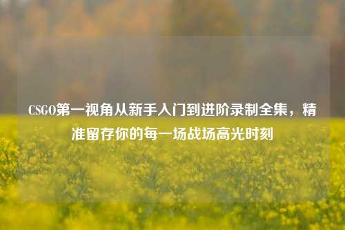 CSGO第一视角从新手入门到进阶录制全集,精准留存你的每一场战场高光时刻
