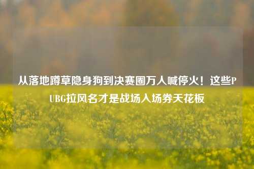 从落地蹲草隐身狗到决赛圈万人喊停火！这些PUBG拉风名才是战场入场券天花板