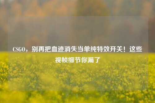 CSGO，别再把血迹消失当单纯特效开关！这些视帧细节你漏了