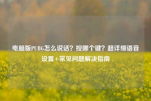 电脑版PUBG怎么说话?按哪个键?超详细语音设置+常见问题解决指南