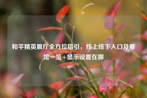 和平精英展厅全方位指引,线上线下入口及展馆一览+显示设置在哪