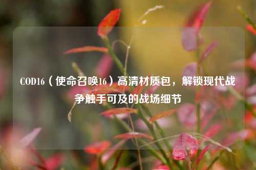 COD16(使命召唤16)高清材质包,解锁现代战争触手可及的战场细节