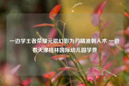 一边学王者荣耀元歌幻影为刃精准刺入术 一边看天津格林国际幼儿园学费