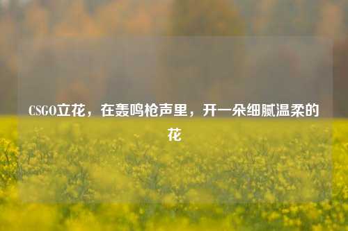 CSGO立花，在轰鸣枪声里，开一朵细腻温柔的花