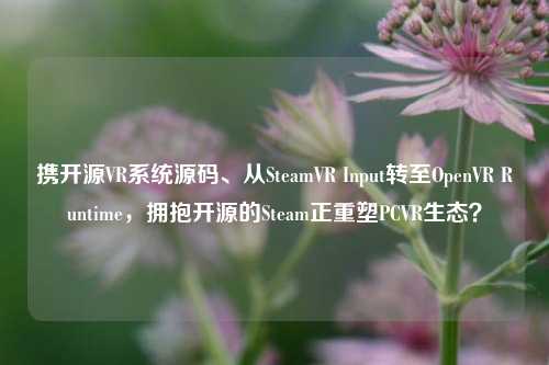 携开源VR系统源码、从SteamVR Input转至OpenVR Runtime,拥抱开源的Steam正重塑PCVR生态?