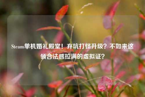 Steam单机婚礼殿堂！弃坑打怪升级？不如来这领合法感拉满的虚拟证？