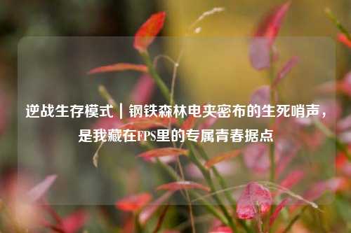 逆战生存模式|钢铁森林电夹密布的生死哨声,是我藏在FPS里的专属青春据点