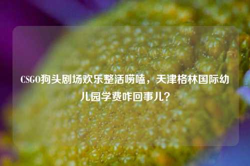 CSGO狗头剧场欢乐整活唠嗑,天津格林国际幼儿园学费咋回事儿?