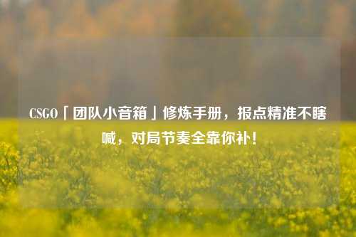 CSGO「团队小音箱」修炼手册，报点精准不瞎喊，对局节奏全靠你补！