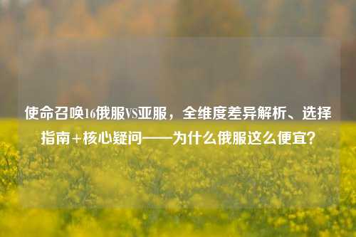 使命召唤16俄服VS亚服，全维度差异解析、选择指南+核心疑问——为什么俄服这么便宜？