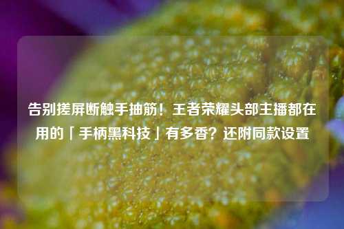 告别搓屏断触手抽筋!王者荣耀头部主播都在用的「手柄黑科技」有多香?还附同款设置