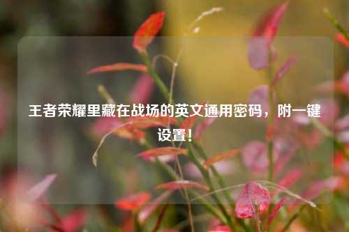 王者荣耀里藏在战场的英文通用密码，附一键设置！