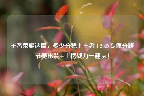 王者荣耀达摩,多少分稳上王者+202X专属分路节奏出装+上榜战力一键get!