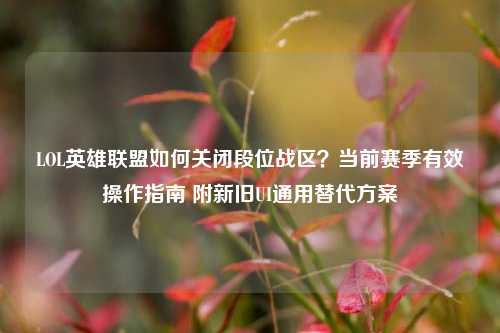 LOL英雄联盟如何关闭段位战区?当前赛季有效操作指南 附新旧UI通用替代方案