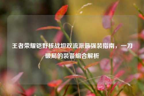 王者荣耀铠野核战坦双流派最强装指南,一刀破局的装备组合解析