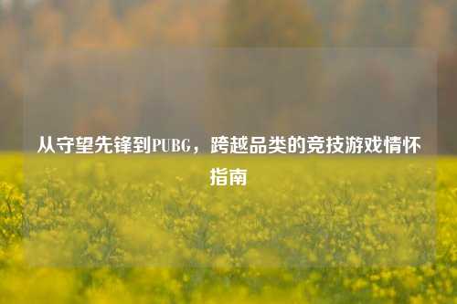 从守望先锋到PUBG,跨越品类的竞技游戏情怀指南