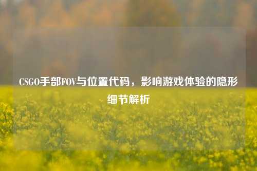 CSGO手部FOV与位置代码,影响游戏体验的隐形细节解析