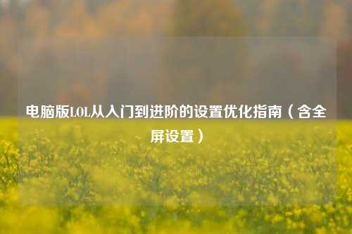 电脑版LOL从入门到进阶的设置优化指南(含全屏设置)