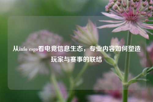 从info csgo看电竞信息生态,专业内容如何塑造玩家与赛事的联结