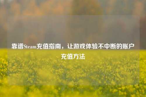靠谱Steam充值指南,让游戏体验不中断的账户充值方法