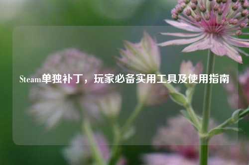 Steam单独补丁,玩家必备实用工具及使用指南