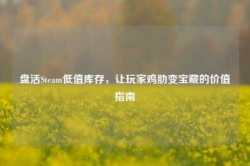 盘活Steam低值库存，让玩家鸡肋变宝藏的价值指南