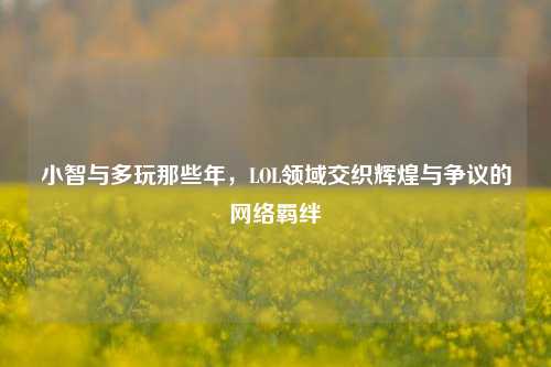 小智与多玩那些年，LOL领域交织辉煌与争议的网络羁绊