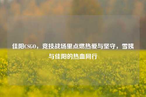 佳阳CSGO，竞技战场里点燃热爱与坚守，雪姨与佳阳的热血同行
