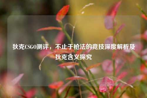 狄克CSGO测评，不止于枪法的竞技深度解析及狄克含义探究