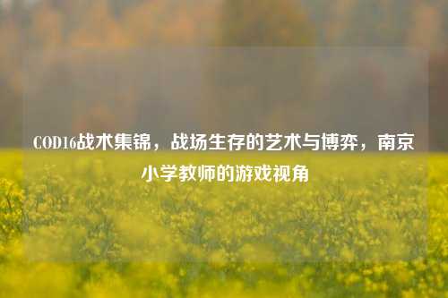 COD16战术集锦,战场生存的艺术与博弈,南京小学教师的游戏视角
