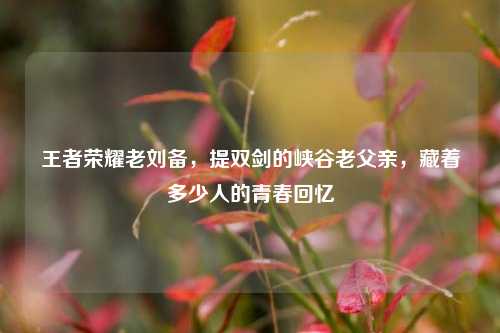王者荣耀老刘备,提双剑的峡谷老父亲,藏着多少人的青春回忆