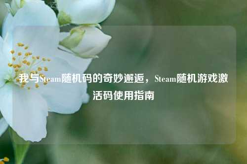 我与Steam随机码的奇妙邂逅，Steam随机游戏激活码使用指南