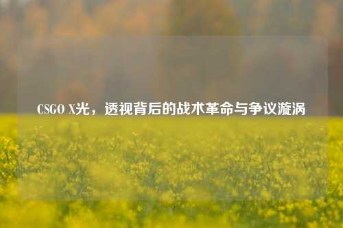 CSGO X光，透视背后的战术革命与争议漩涡