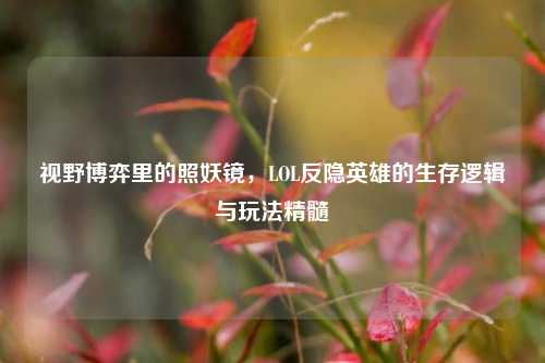 视野博弈里的照妖镜,LOL反隐英雄的生存逻辑与玩法精髓